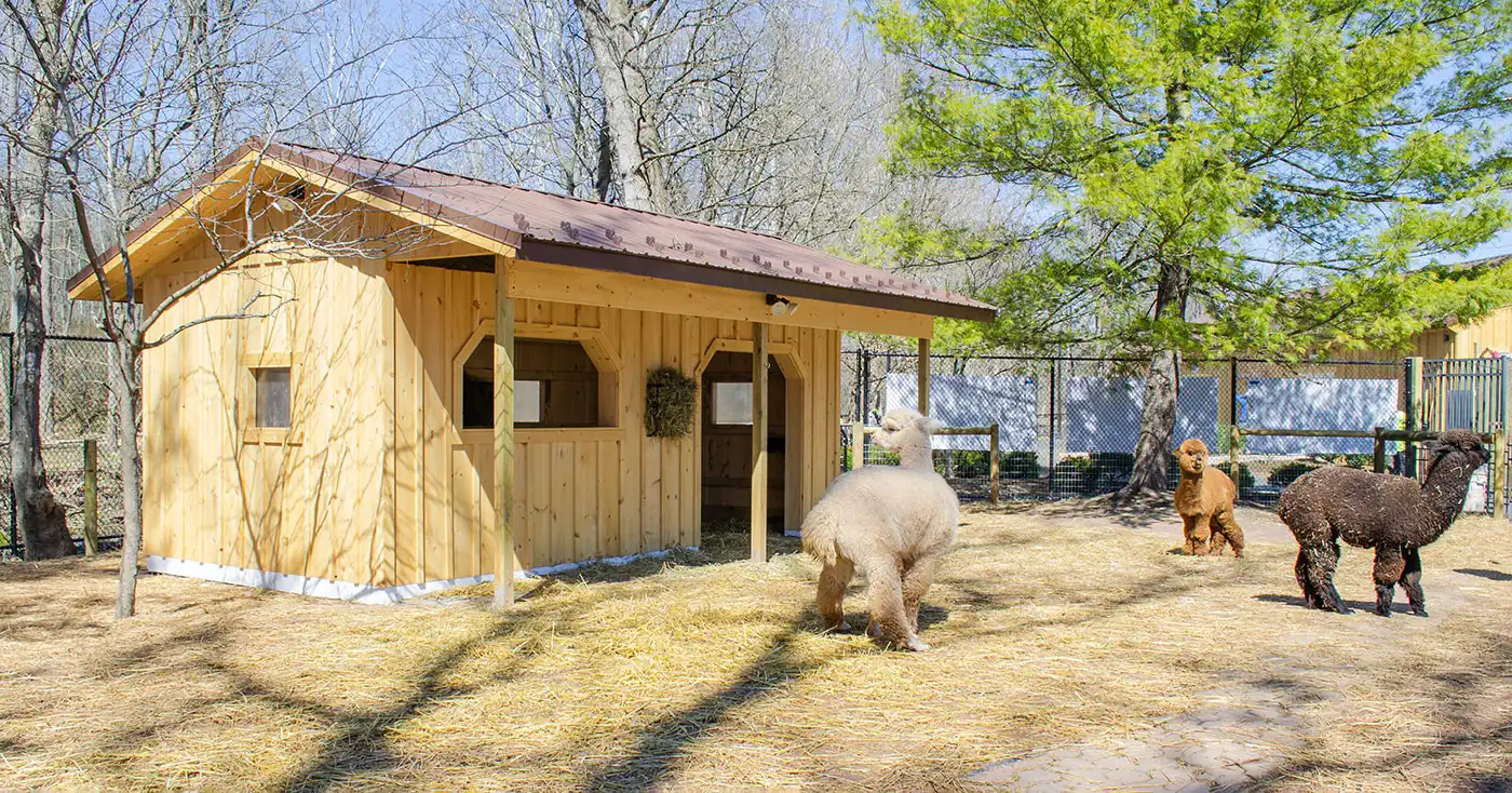 Animal Habitat at Elmwood Zoo